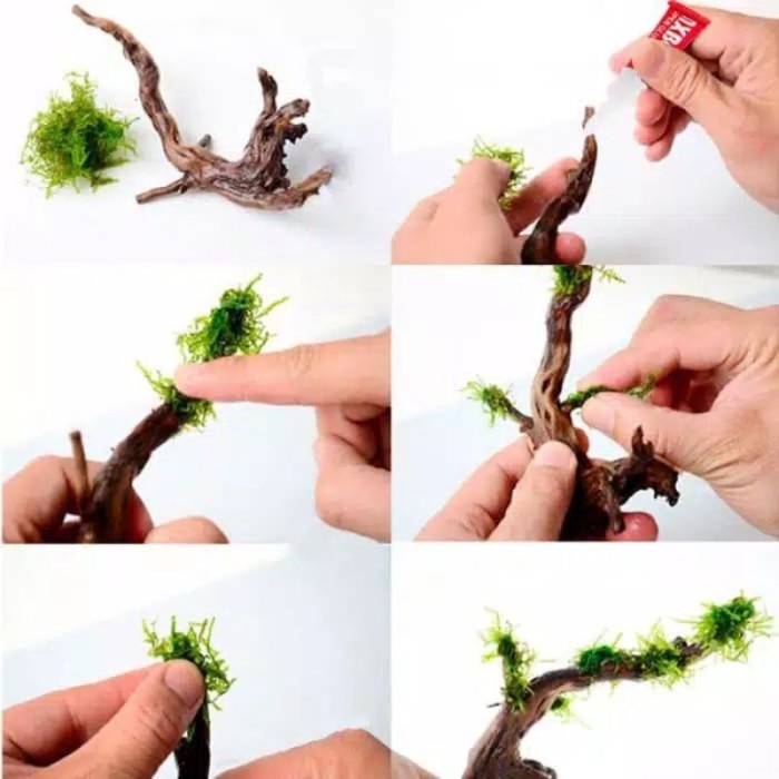 

SALE TERHOTT AQUA WORLD LEM ADHESIVE 5GR (25PCS) CYANOACRYLATE AQUASCAPE CORAL LAUT READYY