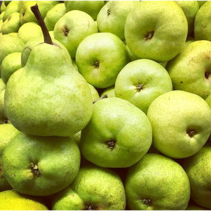 

HJK Buah Pear Packham Import Pir Pakam Hijau / Pir Jambu Manis