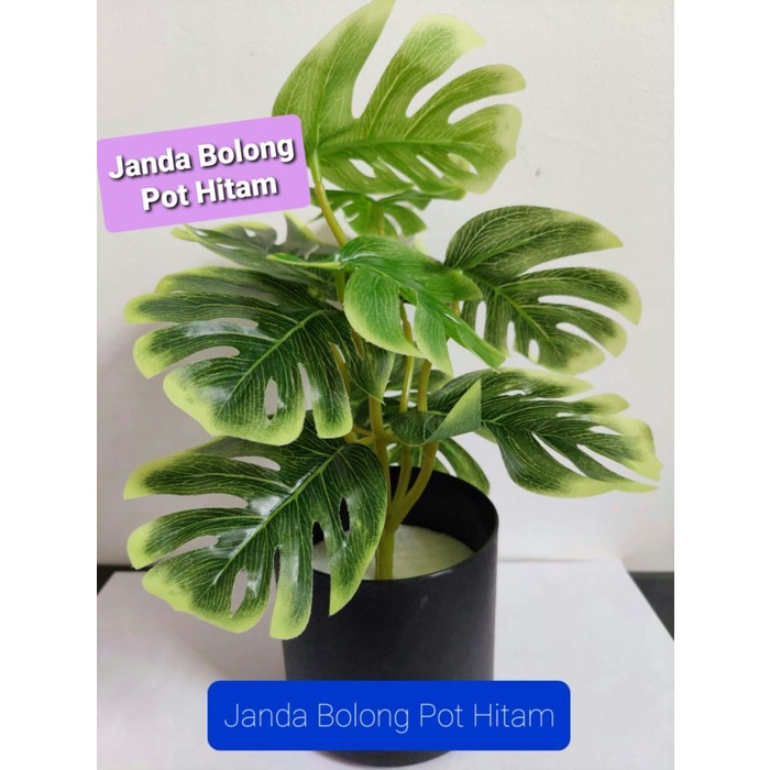 JTTOP" BUNGA PLASTIK HIAS TANAMAN POT BONSAI MONSTERA JANDA BOLONG PALEM