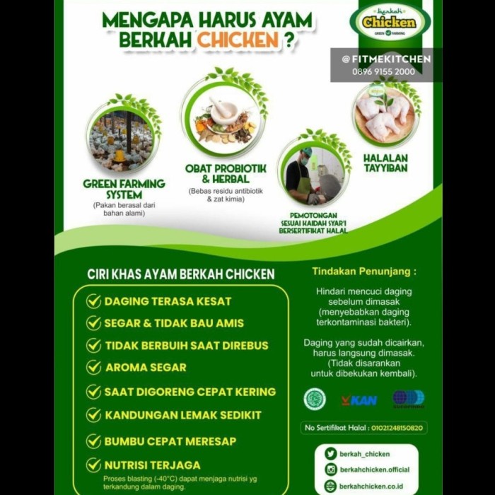 

HJK Ayam Organik Probiotik Berkah Chicken Organic/ Sayap Chicken Wings