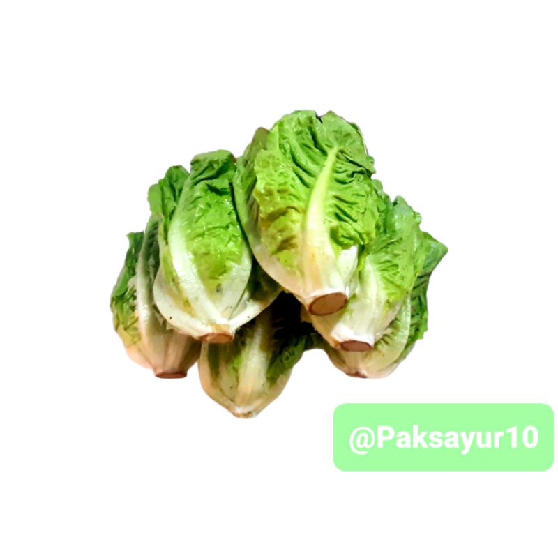 

lettuce romaine 1 kg