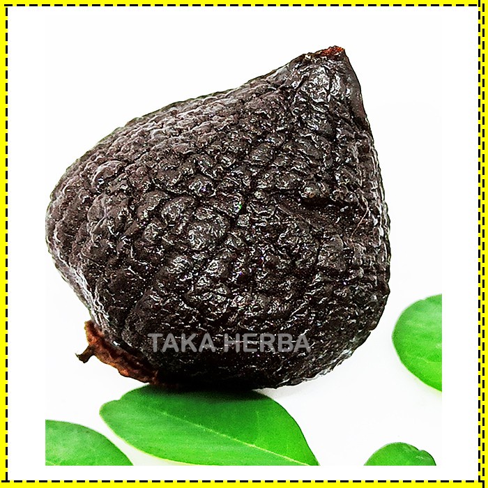 

BLACK GARLIC LANANG 250 GR - BAWANG PUTIH TUNGGAL HITAM