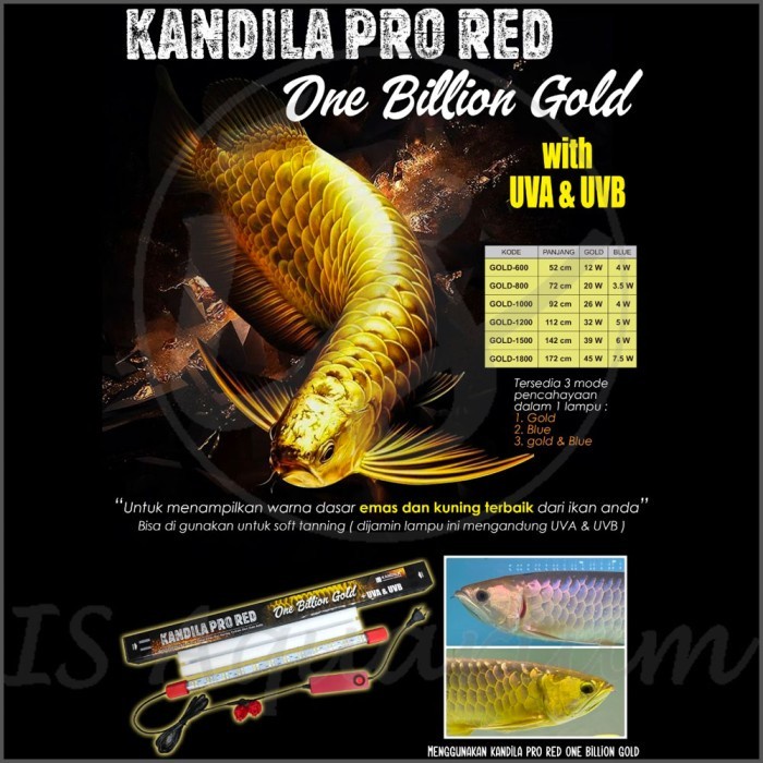 Kandila Red One Billion Gold 800 72cm Lampu Celup Ikan Arowana DiskonJual MurahHarga DiskonObral