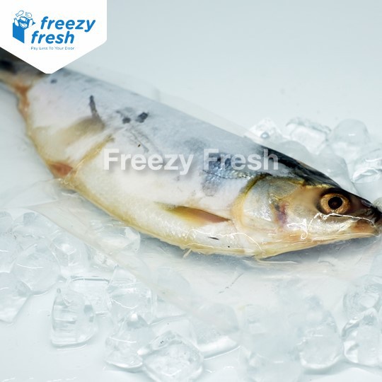 

Bandeng Cabut Duri (Milk Fish) / Segar / Beku / Vacumm Pack