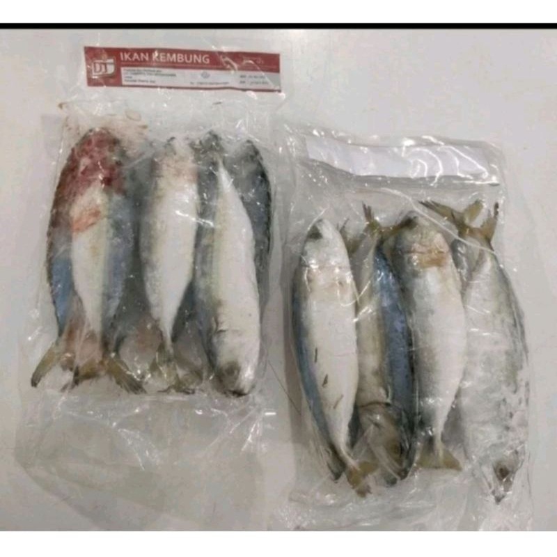 

Ikan Kembung Frozen 1kg