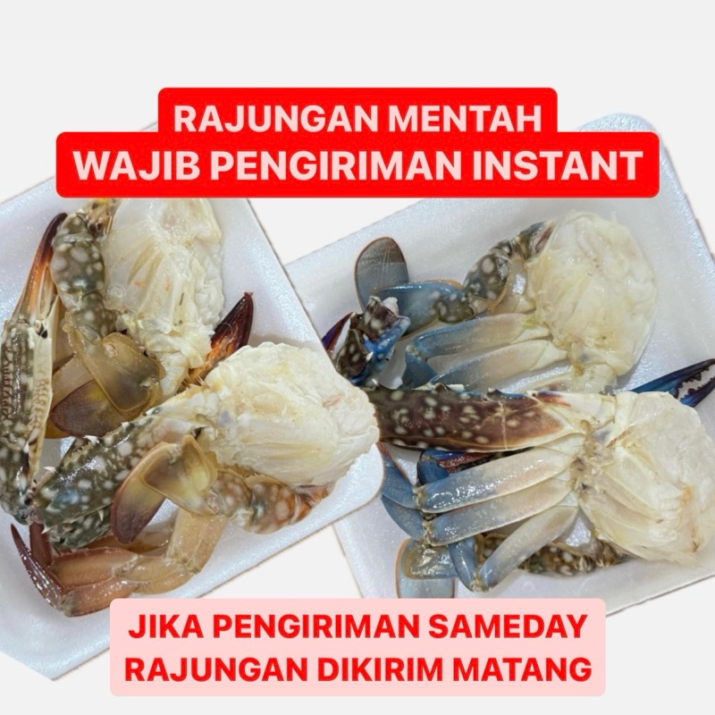 

Tambahan XTRA seafood Salad Thailand (Rajungan Mentah WAJIB INSTANT)