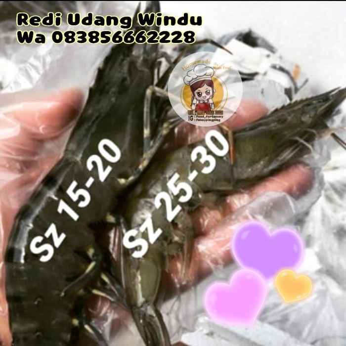 

(Good) Udang Windu size 20