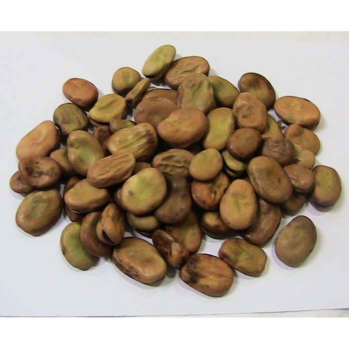 

Foul Medames / Fava Beans 1 KG KACANG ARAB Timur Tengah Menu Sarapan