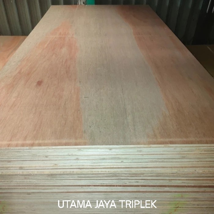 triplek cor 12 mm termurah 