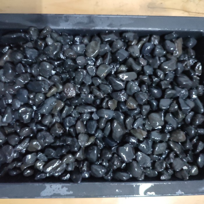Batu Hitam Alor Bali 10 KG (Koral Sikat Pekat Carport Lantai Garasi)