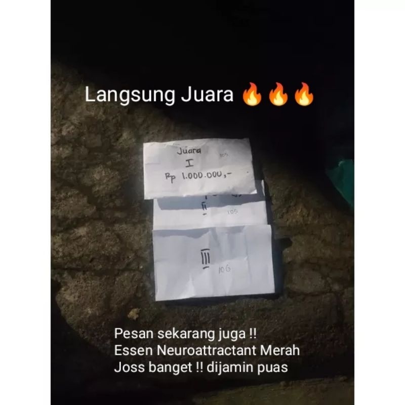 {{ Strike Hitungan Menit,Essen Ikan Patin Galatama,Essen Ikan Patin Paling Ampuh,Essen Ikan Patin