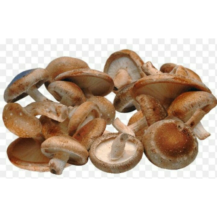 

Jamur Shitake Fresh (Khusus Area Jabodetabek)