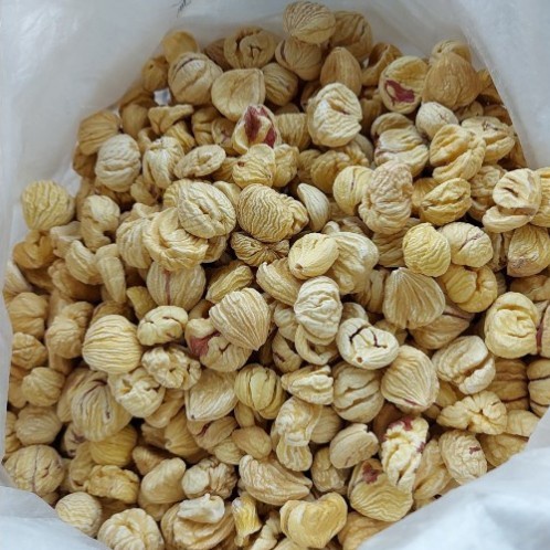 

Lakci Lak Ci Kacang Lakci Chestnuts Kering 100g