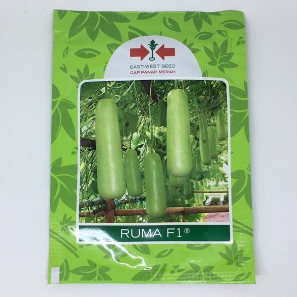 Ruma F1 Benih Labu Air Unggul Bibit Labu Siam Hibrida