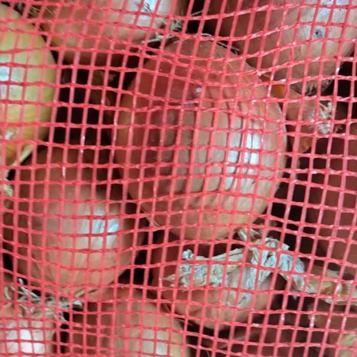 

jual bawang Bombay kecil 5 kg