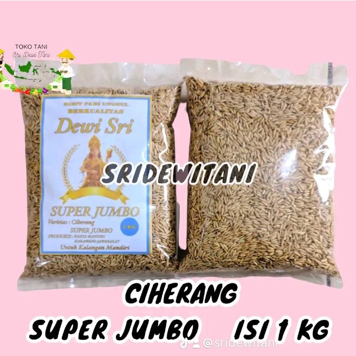 Bibit Padi Ciherang Super Jumbo 1 Kg Bibit Unggul Berkualitas Benih Tanaman #Gratisongkir