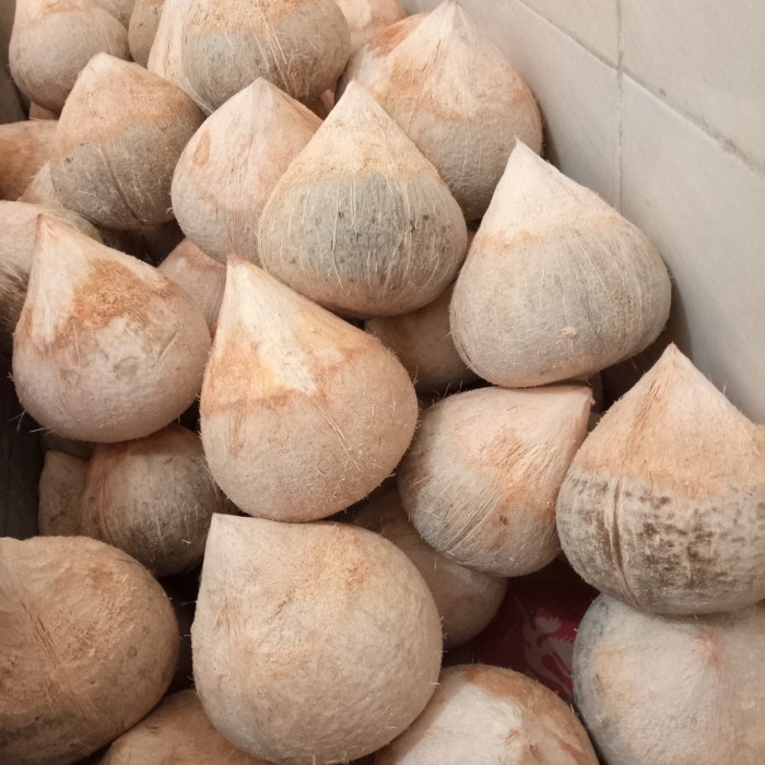 

KELAPA KOPYOR SUPER