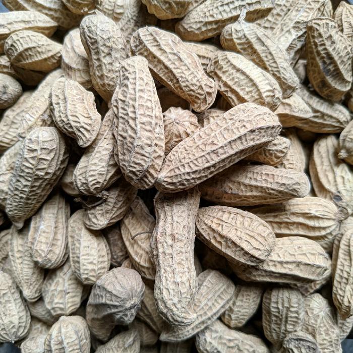 

KACANG SANGRAI BENDO KACANG KULIT 2KG