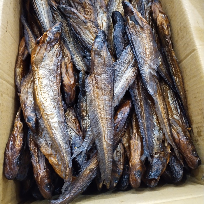 

Ikan Lais Salai