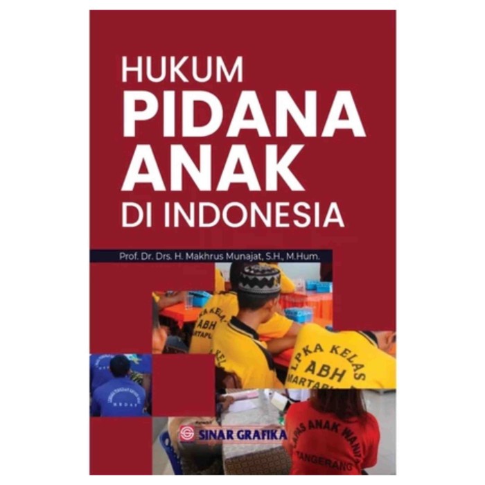 

Produk Viral Hukum Pidana Anak Di Indonesia - Makhrus Munajat - Ba Packing Aman