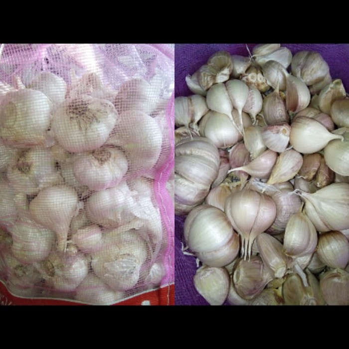 

Bawang Putih Kating Kotor 1 kg