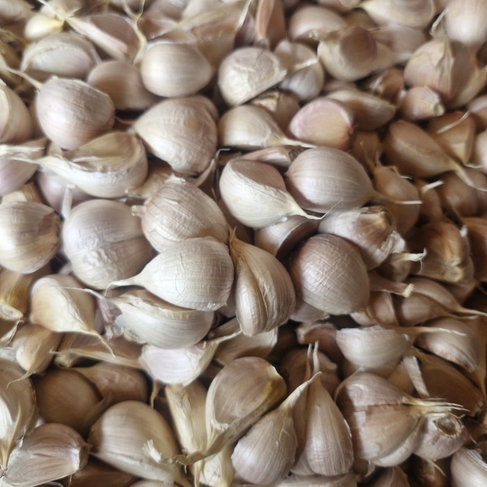 

Bawang Putih Kating Bersih, 1kg dan 1/2 kg