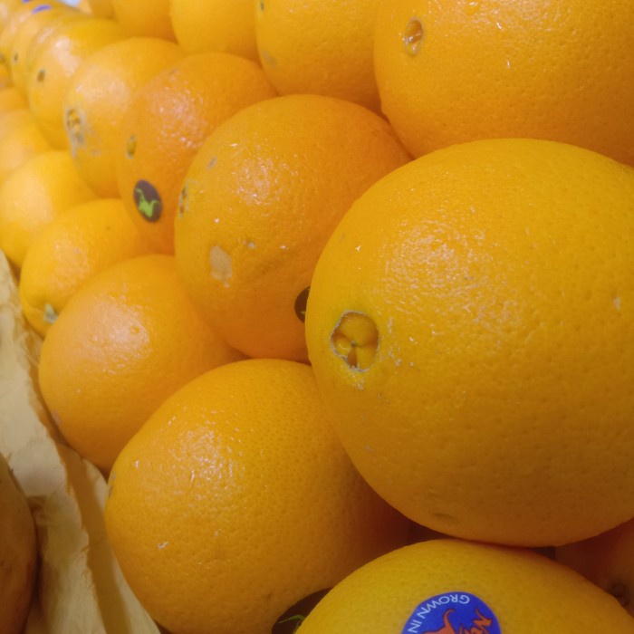 

buah Sunkist navel Australia