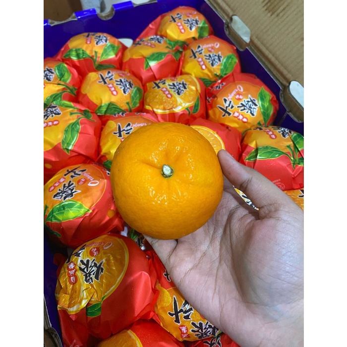 

JERUK WOKAM IMPOR. MANIS BANGET. FRESH DAN MURAH