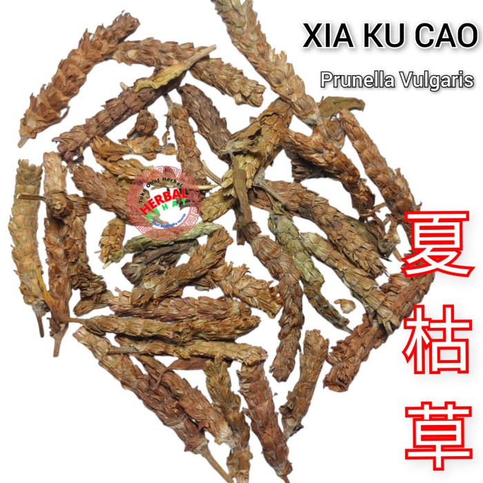 

Sale Terbatas Teh Prunella Vulgaris Xia Ku Cao 600 Gram Aman