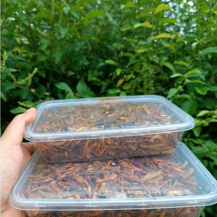 

JTTOP" BELALANG GORENG UTIS KECIL KEMASAN BOX BISA REQUEST SNACK MURAH KERIPIK MAKANAN PEDAS
