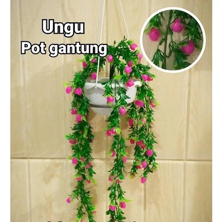 New- Bunga Rambat Priti Vernalya Plastik Artificial Palsu Pot Gantung / Bunga Rambat Tempel