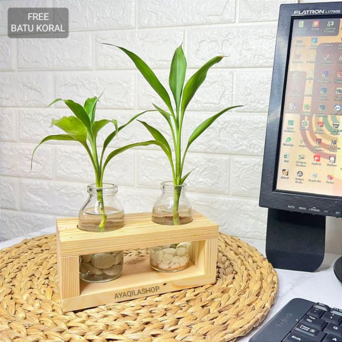 New- VAS BUNGA AESTHETIC/ POT TANAMAN AIR / VAS BOTOL COVER KAYU ESTETIK / DEKORASI HIASAN MEJA