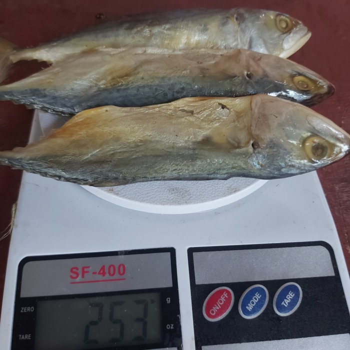 

ikan asin peda putih 250gr