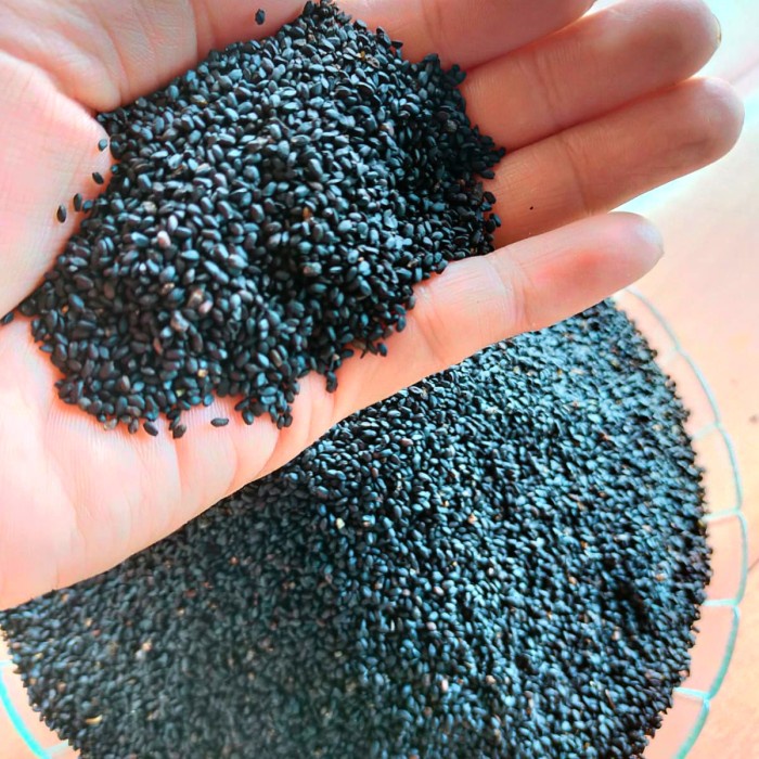 

Biji Selasih Import 500Gram 1/2 kilogram Sudah Bersih Grade A