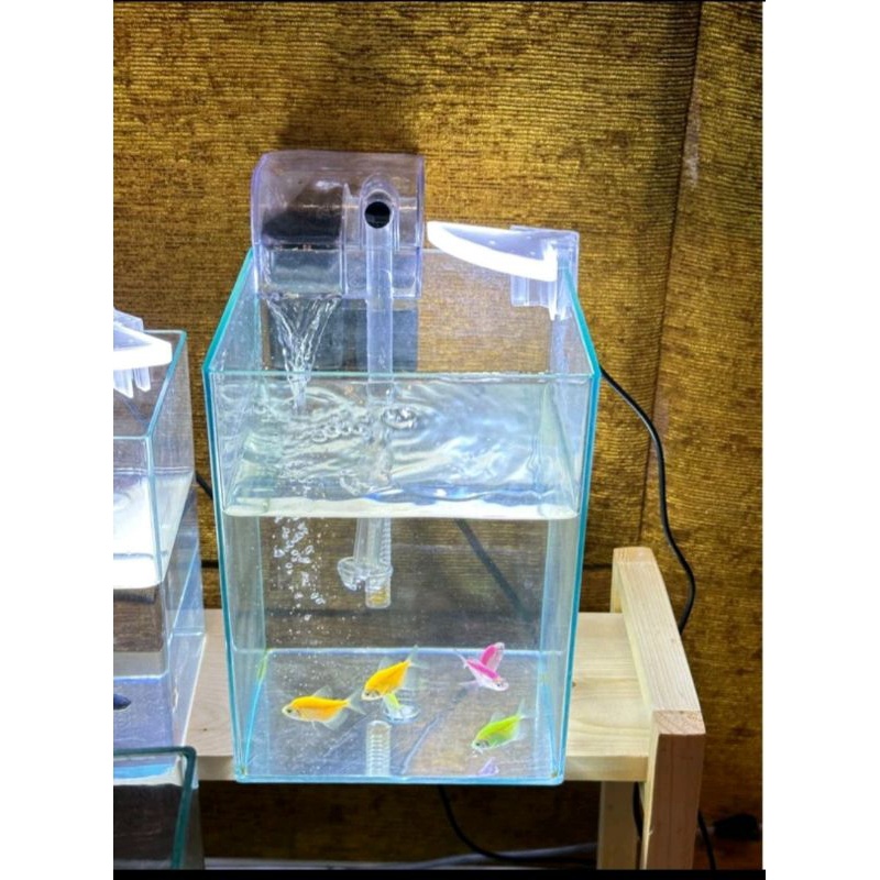 Soliter aquarium toples aklirik Viralll juragan toples 2 Liter JURAGAN TOPLES tidak ada garansi