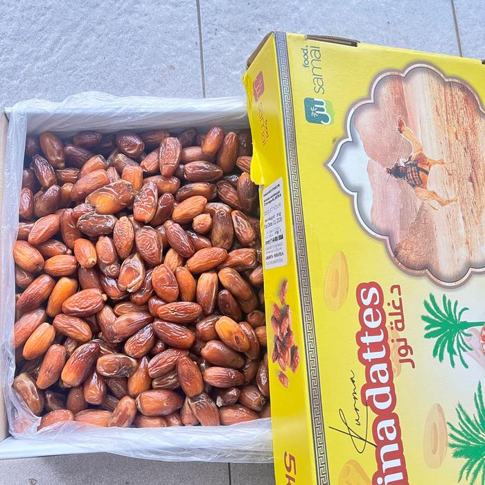 

Kurma Tunis Madu Dus 5Kg Deglet Nour Of Tunisia 5 Kg Tanpa Non Tangkai Korma Dates Alger Algeria