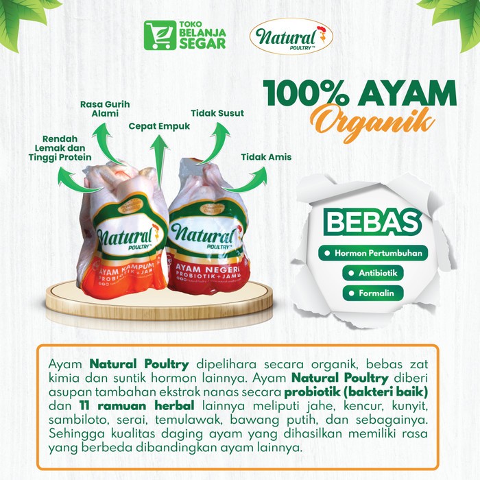 

(TopSeller) Paket 3 Ayam Probiotic Reguler (800-900 gram) - Natural Poultry