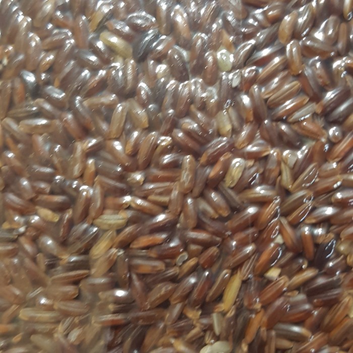 

Lezat- Beras Merah Organik merk Lingkar Organik 2 kg