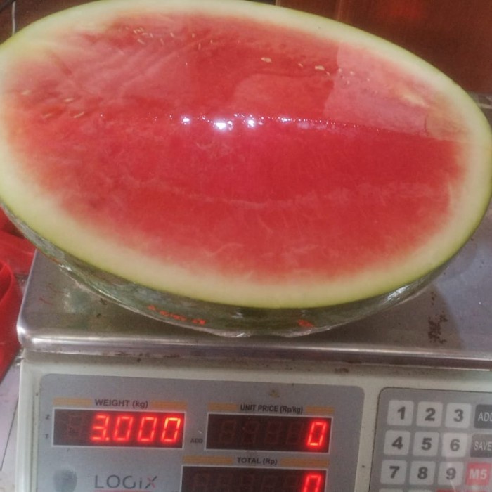 

Lezat- buah semangka non biji