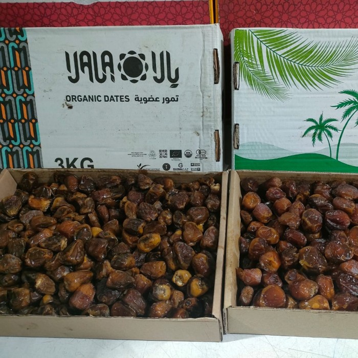 

Lezat- Kurma-Kurma Sukari 3 Kg Premium-Kurma Sukari Al Qassim Original-Sukari