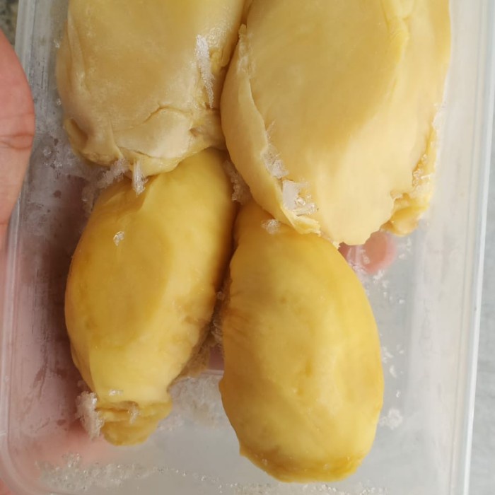 

Lezat- paket hemat 3 box durian montong palu premium.