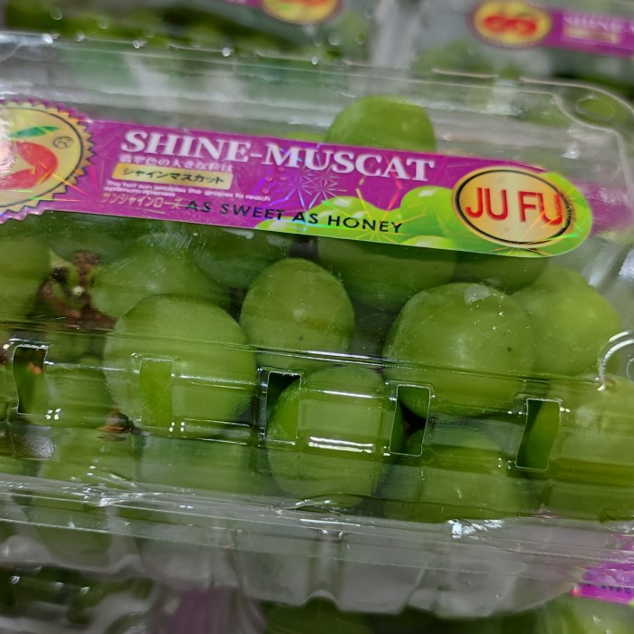 

Lezat- ANGGUR HIJAU AUSTRALIA TANPA BIJI / MANIS SEGAR / BUAH SEGAR / 500GRAM