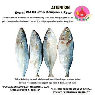 

Ikan Peda Putih/Ikan Asin Peda Putih 1KG