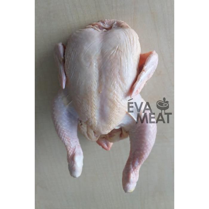 

Lezat- broiler / ayam broiler / ayam karkas / daging ayam / broiler bandung