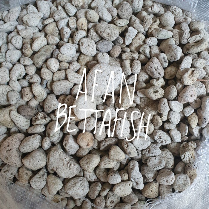 BURUAN,. BATU APUNG MEDIA FILTER / PUMICE / MEDIA TANAM 1KG