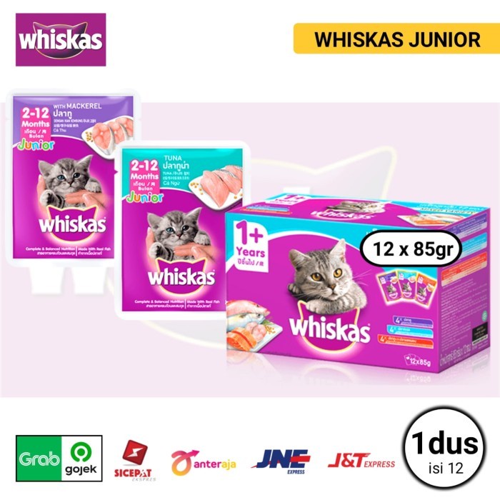Pet- Whiskas Pouch JUNIOR 1 DUS ( isi 12 ) whiskas junior tuna & mackerel