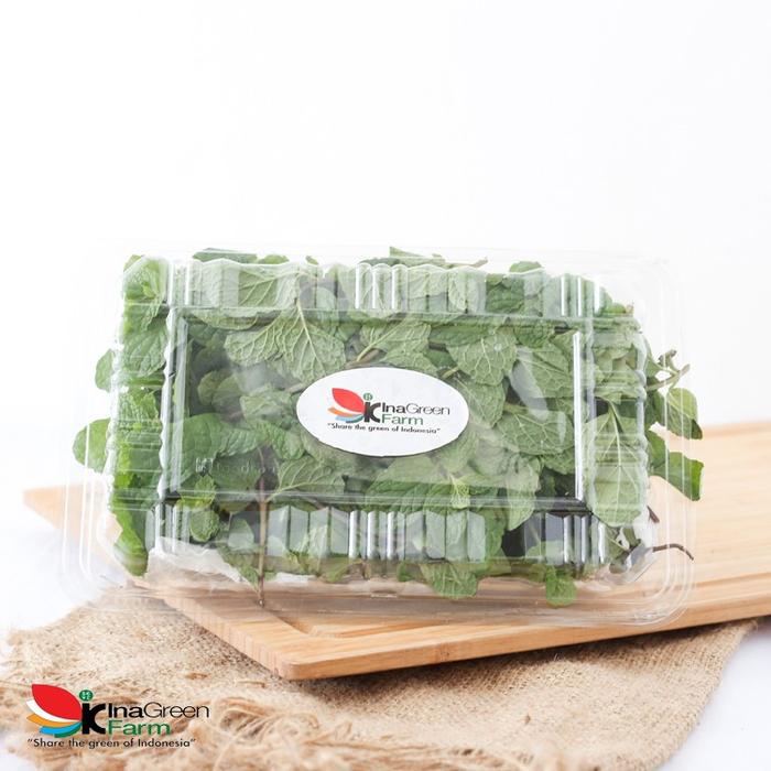 

Daun Mint Fresh 100 Gram Inagreen Farm Bandung