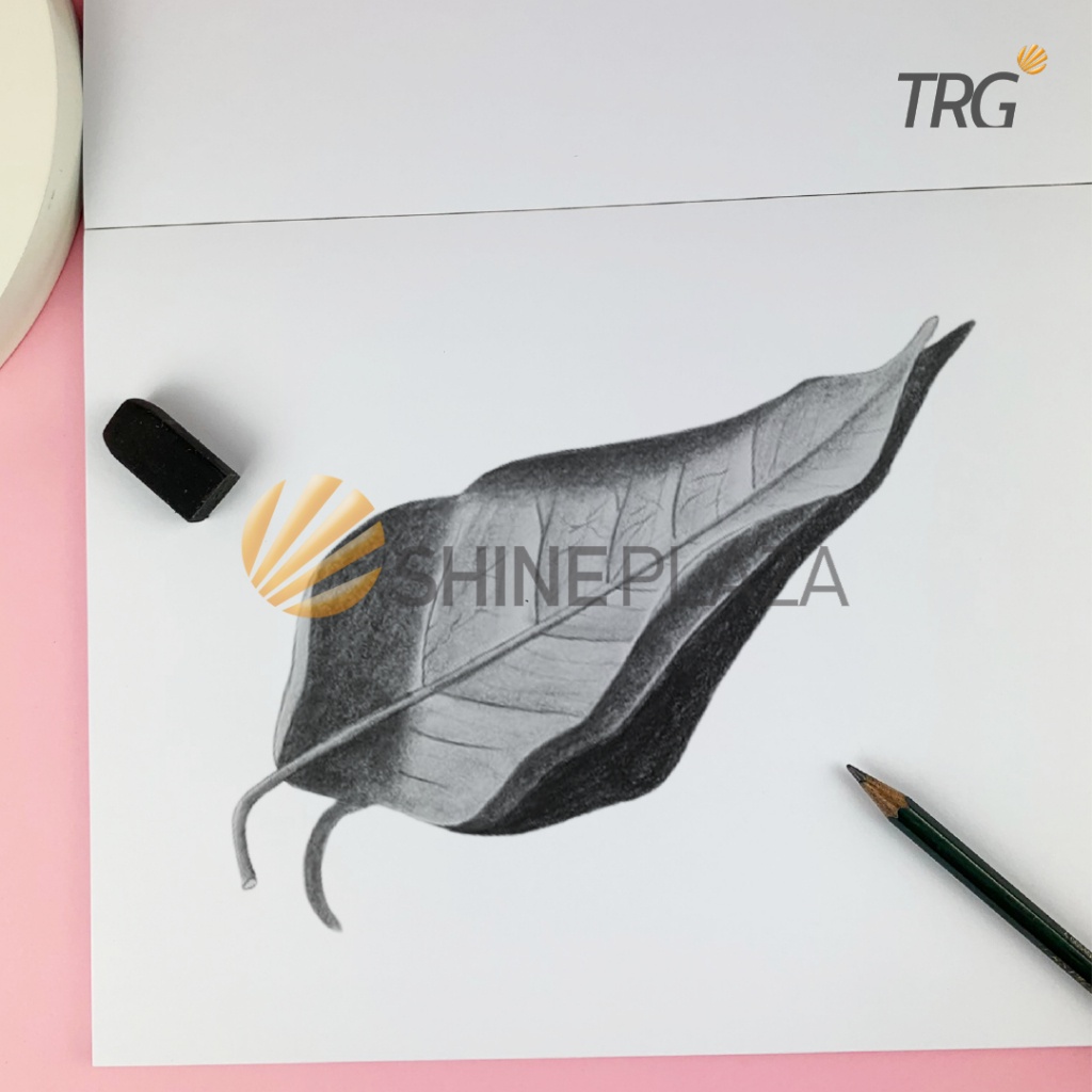 

IK! Trg Sketchbook Sketch Drawing Book A4 150gsm Skbk-21-A4 - Kertas Buku Gambar & Sketsa 150 Gsm