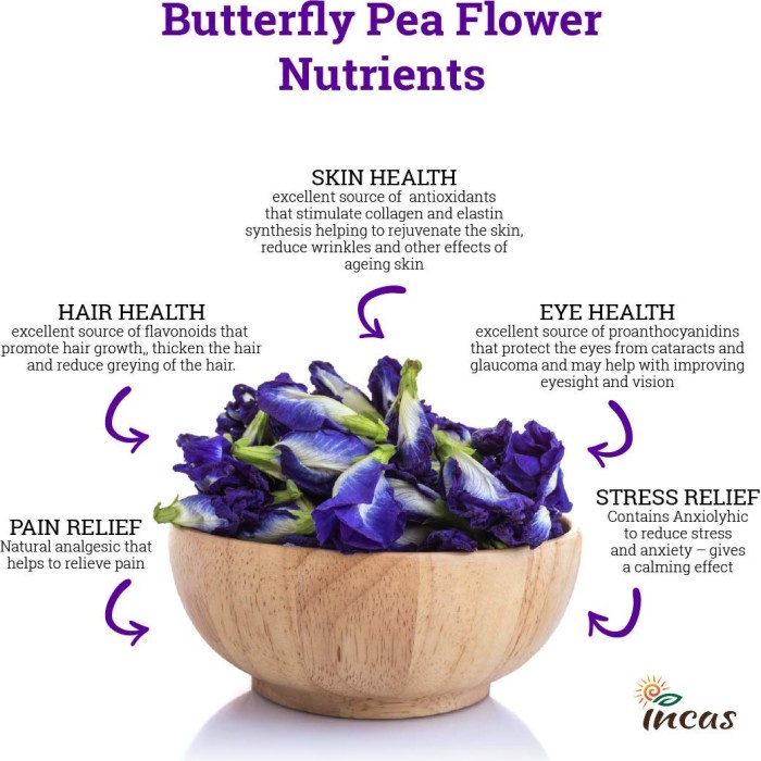 

BEST !! BUTTERFLY PEA TEA : BLUE BUTTERFLY PEA FLOWER TEA (30 TEA BAG)