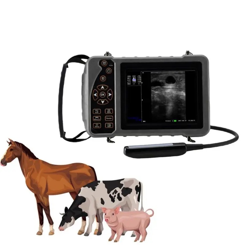 New Fully Digital Handheld Veterinary Ultrasound Cow Horse Portable Ultrasound Machine Mini Ultrasou